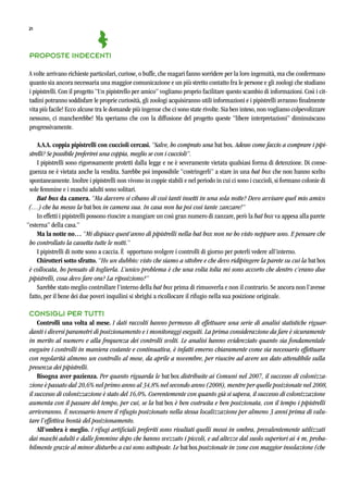 21
proposte indecenti
A volte arrivano richieste particolari, curiose, o buffe, che magari fanno sorridere per la loro ingenuità, ma che confermano
quanto sia ancora necessaria una maggior comunicazione e un più stretto contatto fra le persone e gli zoologi che studiano
i pipistrelli. Con il progetto “Un pipistrello per amico” vogliamo proprio facilitare questo scambio di informazioni. Così i cit-
tadini potranno soddisfare le proprie curiosità, gli zoologi acquisiranno utili informazioni e i pipistrelli avranno ﬁnalmente
vita più facile! Ecco alcune tra le domande più ingenue che ci sono state rivolte. Sia ben inteso, non vogliamo colpevolizzare
nessuno, ci mancherebbe! Ma speriamo che con la diffusione del progetto queste “libere interpretazioni” diminuiscano
progressivamente.
A.A.A. coppia pipistrelli con cuccioli cercasi. “Salve, ho comprato una bat box. Adesso come faccio a comprare i pipi-
strelli? Se possibile preferirei una coppia, meglio se con i cuccioli”.
I pipistrelli sono rigorosamente protetti dalla legge e ne è severamente vietata qualsiasi forma di detenzione. Di conse-
guenza ne è vietata anche la vendita. Sarebbe poi impossibile “costringerli” a stare in una bat box che non hanno scelto
spontaneamente. Inoltre i pipistrelli non vivono in coppie stabili e nel periodo in cui ci sono i cuccioli, si formano colonie di
sole femmine e i maschi adulti sono solitari.
Bat box da camera. “Ma davvero si cibano di così tanti insetti in una sola notte? Devo avvisare quel mio amico
(…) che ha messo la bat box in camera sua. In casa non ha poi così tante zanzare!”
In effetti i pipistrelli possono riuscire a mangiare un così gran numero di zanzare, però la bat box va appesa alla parete
“esterna” della casa.”
Ma la notte no… “Mi dispiace quest’anno di pipistrelli nella bat box non ne ho visto neppure uno. E pensare che
ho controllato la cassetta tutte le notti.”
I pipistrelli di notte sono a caccia. È opportuno svolgere i controlli di giorno per poterli vedere all’interno.
Chirotteri sotto sfratto. “Ho un dubbio: visto che siamo a ottobre e che devo ridipingere la parete su cui la bat box
è collocata, ho pensato di toglierla. L’unico problema è che una volta tolta mi sono accorto che dentro c’erano due
pipistrelli, cosa devo fare ora? La riposiziono?”
Sarebbe stato meglio controllare l’interno della bat box prima di rimuoverla e non il contrario. Se ancora non l’avesse
fatto, per il bene dei due poveri inquilini si sbrighi a ricollocare il rifugio nella sua posizione originale.
consiGli per tUtti
Controlli una volta al mese. I dati raccolti hanno permesso di effettuare una serie di analisi statistiche riguar-
danti i diversi parametri di posizionamento e i monitoraggi eseguiti. La prima considerazione da fare è sicuramente
in merito al numero e alla frequenza dei controlli svolti. Le analisi hanno evidenziato quanto sia fondamentale
eseguire i controlli in maniera costante e continuativa, è infatti emerso chiaramente come sia necessario effettuare
con regolarità almeno un controllo al mese, da aprile a novembre, per riuscire ad avere un dato attendibile sulla
presenza dei pipistrelli.
Bisogna aver pazienza. Per quanto riguarda le bat box distribuite ai Comuni nel 2007, il successo di colonizza-
zione è passato dal 20,6% nel primo anno al 34,8% nel secondo anno (2008), mentre per quelle posizionate nel 2008,
il successo di colonizzazione è stato del 16,0%. Coerentemente con quanto già si sapeva, il successo di colonizzazione
aumenta con il passare del tempo, per cui, se la bat box è ben costruita e ben posizionata, con il tempo i pipistrelli
arriveranno. È necessario tenere il rifugio posizionato nella stessa localizzazione per almeno 3 anni prima di valu-
tare l’effettiva bontà del posizionamento.
All’ombra è meglio. I rifugi artificiali preferiti sono risultati quelli messi in ombra, prevalentemente utilizzati
dai maschi adulti e dalle femmine dopo che hanno svezzato i piccoli, e ad altezze dal suolo superiori ai 4 m, proba-
bilmente grazie al minor disturbo a cui sono sottoposte. Le bat box posizionate in zone con maggior insolazione (che
 
