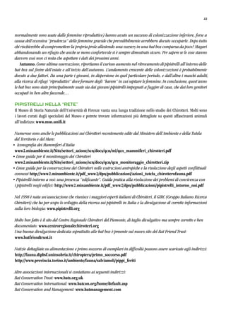 22
normalmente sono usate dalle femmine riproduttive) hanno avuto un successo di colonizzazione inferiore, forse a
causa dell’eccessiva “prudenza” delle femmine gravide che prevedibilmente avrebbero dovuto occuparle. Dopo tutto
chi rischierebbe di compromettere la propria prole allestendo una nursery in una bat box comparsa da poco? Magari
abbandonando un rifugio che anche se meno confortevole si è sempre dimostrato sicuro. Per sapere se le cose stanno
davvero così non ci resta che aspettare i dati dei prossimi anni.
	 Autunno. Come ultima osservazione, riportiamo il curioso aumento nel ritrovamento di pipistrelli all’interno delle
bat box sul finire dell’estate e all’inizio dell’autunno. L’andamento crescente delle colonizzazioni è probabilmente
dovuto a due fattori. Da una parte i giovani, in dispersione in quel particolare periodo, e dall’altra i maschi adulti,
alla ricerca di rifugi “riproduttivi” dove formare degli “harem” in cui ospitare le femmine. In conclusione, quest’anno
le bat box sono state principalmente usate sia dai giovani pipistrelli impegnati a fuggire di casa, che dai loro genitori
occupati in ben altre faccende…
Pipistrelli nella “rete”
Il Museo di Storia Naturale dell’Università di Firenze vanta una lunga tradizione nello studio dei Chirotteri. Molti sono
i lavori curati dagli specialisti del Museo e potrete trovare informazioni più dettagliate su questi affascinanti animali
all’indirizzo: www.msn.unifi.it
Numerose sono anche le pubblicazioni sui Chirotteri recentemente edite dal Ministero dell’Ambiente e della Tutela
del Territorio e del Mare:
• Iconografia dei Mammiferi d’Italia
www2.minambiente.it/Sito/settori_azione/scn/docs/qcn/mi/qcn_mammiferi_chirotteri.pdf
• Linee guida per il monitoraggio dei Chirotteri
www2.minambiente.it/Sito/settori_azione/scn/docs/qcn/qcn_monitoraggio_chirotteri.zip
• Linee guida per la conservazione dei Chirotteri nelle costruzioni antropiche e la risoluzione degli aspetti conflittuali
connessi http://www2.minambiente.it/pdf_www2/dpn/pubblicazioni/azioni_tutela_chirotterofauna.pdf
• Pipistrelli intorno a noi: una presenza “edificante”. Guida pratica alla risoluzione dei problemi di convivenza con
i pipistrelli negli edifici: http://www2.minambiente.it/pdf_www2/dpn/pubblicazioni/pipistrelli_intorno_noi.pdf
Nel 1998 è nata un’associazione che riunisce i maggiori esperti italiani di Chirotteri, il GIRC (Gruppo Italiano Ricerca
Chirotteri) che ha per scopo lo sviluppo della ricerca sui pipistrelli in Italia e la divulgazione di corrette informazioni
sulla loro biologia: www.pipistrelli.org
Molto ben fatto è il sito del Centro Regionale Chirotteri del Piemonte, di taglio divulgativo ma sempre corretto e ben
documentato: www.centroregionalechirotteri.org
Una buona divulgazione dedicata soprattutto alle bat box è presente sul nuovo sito del Bat Friend Trust:
www.batfriendtrust.it
Notizie dettagliate su alimentazione e primo soccorso di esemplari in difficoltà possono essere scaricate agli indirizzi:
http://fauna.dipbsf.uninsubria.it/chiroptera/primo_soccorso.pdf
http://www.provincia.torino.it/ambiente/fauna/salviamoli/pippi_feriti
Altre associazioni internazionali si contattano ai seguenti indirizzi:
Bat Conservation Trust: www.bats.org.uk
Bat Conservation International: www.batcon.org/home/default.asp
Bat Conservation and Management: www.batmanagement.com
 
