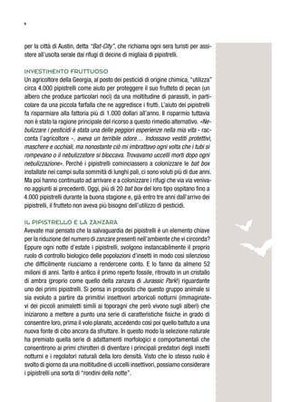 9
per la città di Austin, detta “Bat-City”, che richiama ogni sera turisti per assi-
stere all’uscita serale dai rifugi di decine di migliaia di pipistrelli.
Investimento fruttuoso
Un agricoltore della Georgia, al posto dei pesticidi di origine chimica,“utilizza”
circa 4.000 pipistrelli come aiuto per proteggere il suo frutteto di pecan (un
albero che produce particolari noci) da una moltitudine di parassiti, in parti-
colare da una piccola farfalla che ne aggredisce i frutti. L’aiuto dei pipistrelli
fa risparmiare alla fattoria più di 1.000 dollari all’anno. Il risparmio tuttavia
non è stato la ragione principale del ricorso a questo rimedio alternativo. «Ne-
bulizzare i pesticidi è stata una delle peggiori esperienze nella mia vita - rac-
conta l’agricoltore -, aveva un terribile odore… Indossavo vestiti protettivi,
maschere e occhiali, ma nonostante ciò mi imbrattavo ogni volta che i tubi si
rompevano o il nebulizzatore si bloccava. Trovavamo uccelli morti dopo ogni
nebulizzazione». Perché i pipistrelli cominciassero a colonizzare le bat box
installate nei campi sulla sommità di lunghi pali, ci sono voluti più di due anni.
Ma poi hanno continuato ad arrivare e a colonizzare i rifugi che via via veniva-
no aggiunti ai precedenti. Oggi, più di 20 bat box del loro tipo ospitano fino a
4.000 pipistrelli durante la buona stagione e, già entro tre anni dall’arrivo dei
pipistrelli, il frutteto non aveva più bisogno dell’utilizzo di pesticidi.
Il pipistrello e la zanzara
Avevate mai pensato che la salvaguardia dei pipistrelli è un elemento chiave
per la riduzione del numero di zanzare presenti nell’ambiente che vi circonda?
Eppure ogni notte d’estate i pipistrelli, svolgono instancabilmente il proprio
ruolo di controllo biologico delle popolazioni d’insetti in modo così silenzioso
che difficilmente riusciamo a rendercene conto. E lo fanno da almeno 52
milioni di anni. Tanto è antico il primo reperto fossile, ritrovato in un cristallo
di ambra (proprio come quello della zanzara di Jurassic Park!) riguardante
uno dei primi pipistrelli. Si pensa in proposito che questo gruppo animale si
sia evoluto a partire da primitivi insettivori arboricoli notturni (immaginate-
vi dei piccoli animaletti simili ai toporagni che però vivono sugli alberi) che
iniziarono a mettere a punto una serie di caratteristiche fisiche in grado di
consentire loro, prima il volo planato, accedendo così poi quello battuto a una
nuova fonte di cibo ancora da sfruttare. In questo modo la selezione naturale
ha premiato quella serie di adattamenti morfologici e comportamentali che
consentirono ai primi chirotteri di diventare i principali predatori degli insetti
notturni e i regolatori naturali della loro densità. Visto che lo stesso ruolo è
svolto di giorno da una moltitudine di uccelli insettivori, possiamo considerare
i pipistrelli una sorta di “rondini della notte”.
 