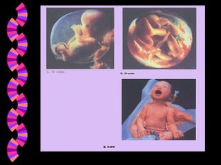 BBA Part1_1 (Gajaseni, 2001)14
 