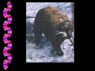 BBA Part1_1 (Gajaseni, 2001)18
 