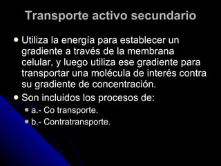 Transporte activo secundario Utiliza la energía para establecer un gradiente a través de la membrana celular, y luego utiliza ese gradiente para transportar una molécula de interés contra su gradiente de concentración.  Son incluidos los procesos de: a.- Co transporte. b.- Contratransporte. 