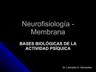 Neurofisiología - Membrana BASES BIOLÓGICAS DE LA ACTIVIDAD PSÍQUICA Dr. Leonardo H. Hernandez 