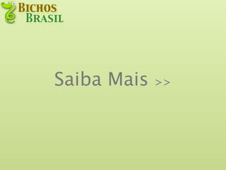 Saiba Mais   >>
 