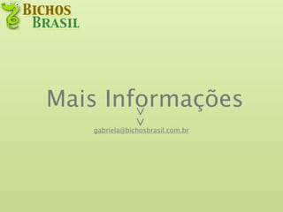 Mais Informações
              >>
   gabriela@bichosbrasil.com.br
 
