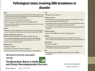 BLOOD BRAIN BARRIER | PPTX