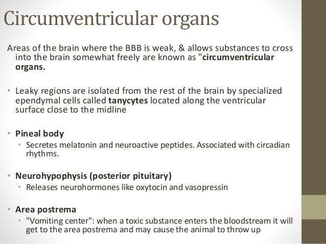 Neuroactive Program Complete Brain Training Download