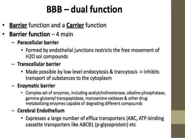 functions composition of 5-2 BRAIN BARRIER BLOOD functions composition of 5-2 BRAIN BARRIER BLOOD