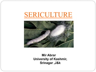 1
SERICULTURE
Mir Abrar
University of Kashmir,
Srinagar ,J&k
 