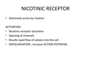 NICOTINIC RECEPTOR
• Selectively active by nicotine
ACTIVATION :
• Nicotinic receptor activation
• Opening of channels
• Results rapid flow of cations into the cell
• DEPOLARISATION , Increase ACTION POTENTIAL
 
