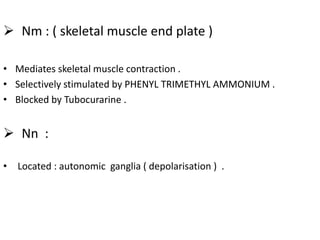  Nm : ( skeletal muscle end plate )
• Mediates skeletal muscle contraction .
• Selectively stimulated by PHENYL TRIMETHYL AMMONIUM .
• Blocked by Tubocurarine .
 Nn :
• Located : autonomic ganglia ( depolarisation ) .
 