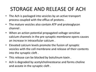 STORAGE AND RELEASE OF ACH
• The Ach is packaged into vesicles by an active transport
process coupled with the efflux of protons .
• The mature vesicles also contain ATP and proteoglycon
channel .
• When an action potential propagated voltage sensitive
calcium channels in the pre synaptic membrane opens causes
an increase in intracellular calcium .
• Elevated calcium levels promote the fusion of synaptic
vesicles with the cell membrane and release of their contents
into the synaptic cleft .
• This release can be blocked by botulinum toxin .
• Ach is degraded by acetylcholinestearse and forms choline
and aceate in the synaptic cleft .
 
