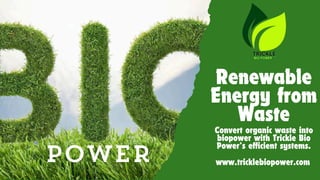 Renewable
Energy from
Waste
Convert organic waste into
biopower with Trickle Bio
Power’s efficient systems.
www.tricklebiopower.com
 
