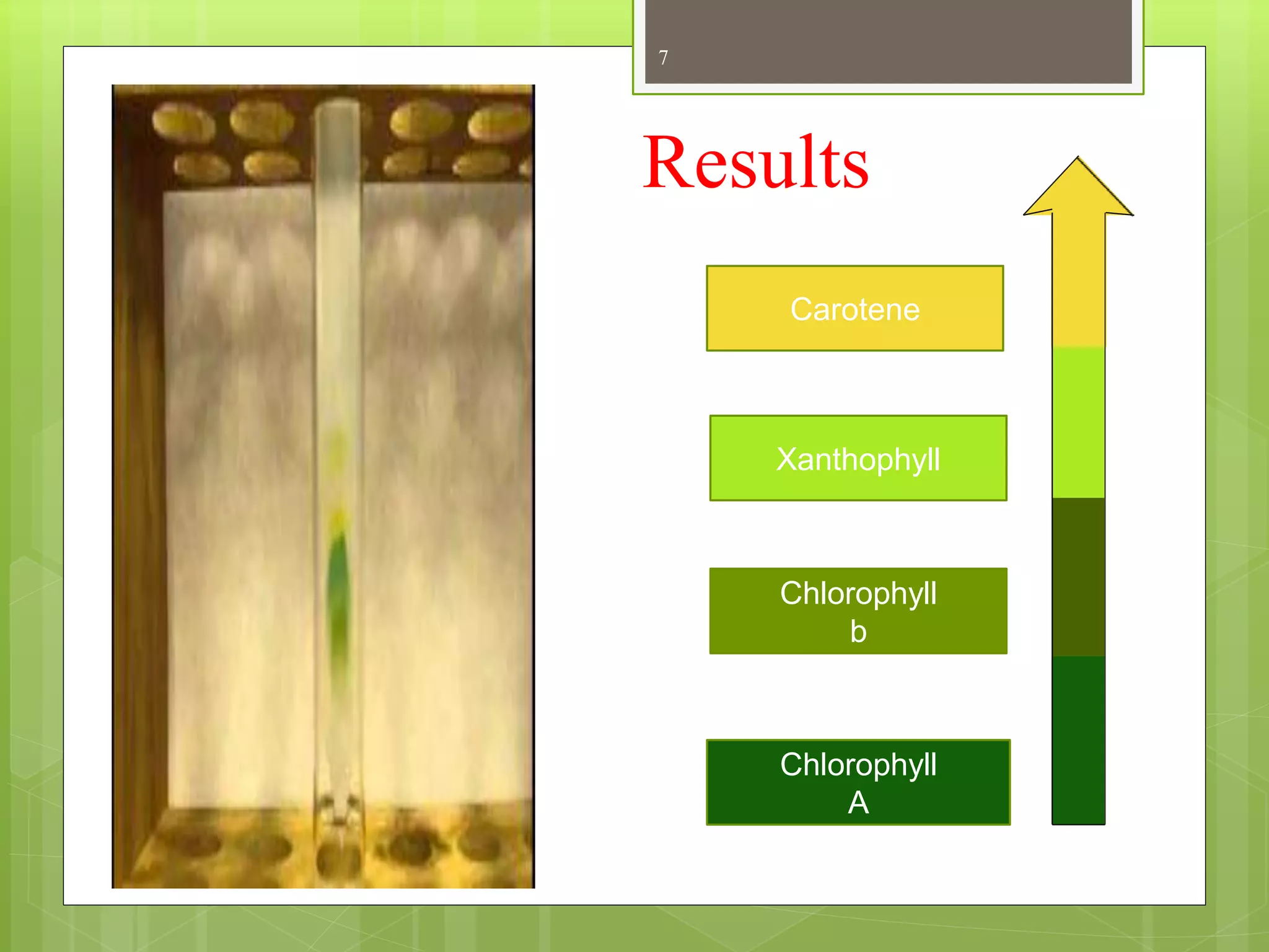 7
Carotene
Xanthophyll
Chlorophyll
b
Chlorophyll
A
Results
 