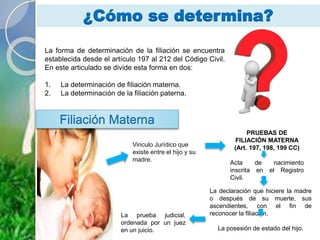 ¿Cómo se determina?
La forma de determinación de la filiación se encuentra
establecida desde el artículo 197 al 212 del Código Civil.
En este articulado se divide esta forma en dos:
1. La determinación de filiación materna.
2. La determinación de la filiación paterna.
Filiación Materna
Vinculo Jurídico que
existe entre el hijo y su
madre.
La declaración que hiciere la madre
o después de su muerte, sus
ascendientes, con el fin de
reconocer la filiación.
La posesión de estado del hijo.
La prueba judicial,
ordenada por un juez
en un juicio.
PRUEBAS DE
FILIACIÓN MATERNA
(Art. 197, 198, 199 CC)
Acta de nacimiento
inscrita en el Registro
Civil.
 