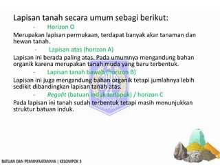 Lapisan tanah secara umum sebagi berikut:
- Horizon O
Merupakan lapisan permukaan, terdapat banyak akar tanaman dan
hewan tanah.
- Lapisan atas (horizon A)
Lapisan ini berada paling atas. Pada umumnya mengandung bahan
organik karena merupakan tanah muda yang baru terbentuk.
- Lapisan tanah bawah (horizon B)
Lapisan ini juga mengandung bahan organik tetapi jumlahnya lebih
sedikit dibandingkan lapisan tanah atas.
- Regolit (batuan induk terlapuk) / horizon C
Pada lapisan ini tanah sudah terbentuk tetapi masih menunjukkan
struktur batuan induk.
 