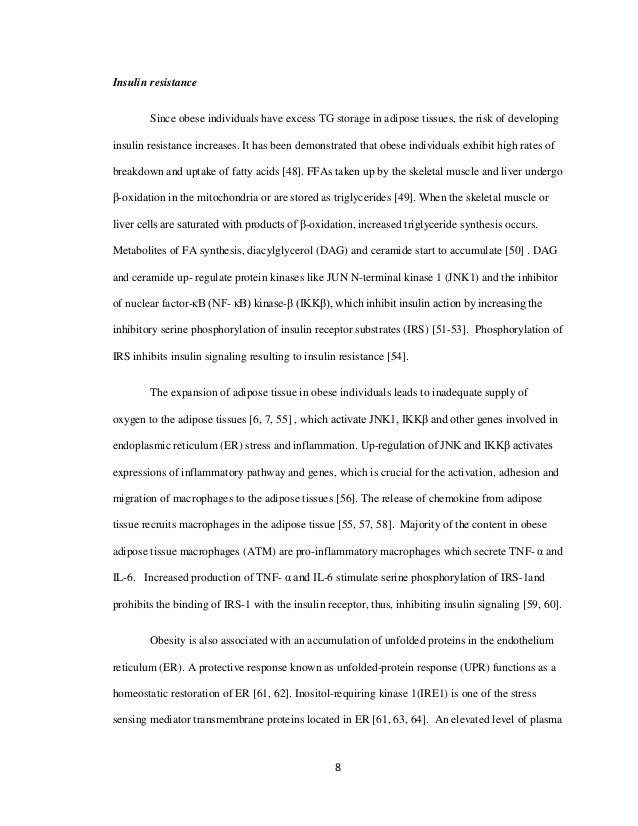 essay example pdf