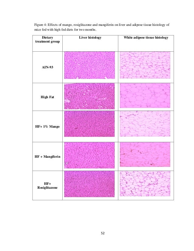 Antioxidant phd thesis