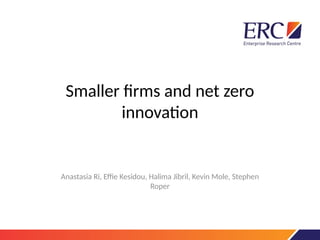 Smaller firms and net zero
innovation
Anastasia Ri, Effie Kesidou, Halima Jibril, Kevin Mole, Stephen
Roper
 