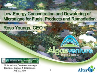 1st International Conference on Algal
  Biomass, Biofuels & Bioproducts
             July 20, 2011              1
 