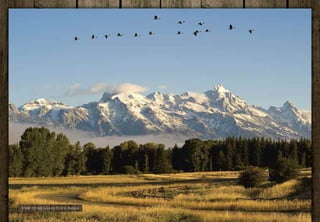 VIEW OF THE GRAND TETON RANGE
 