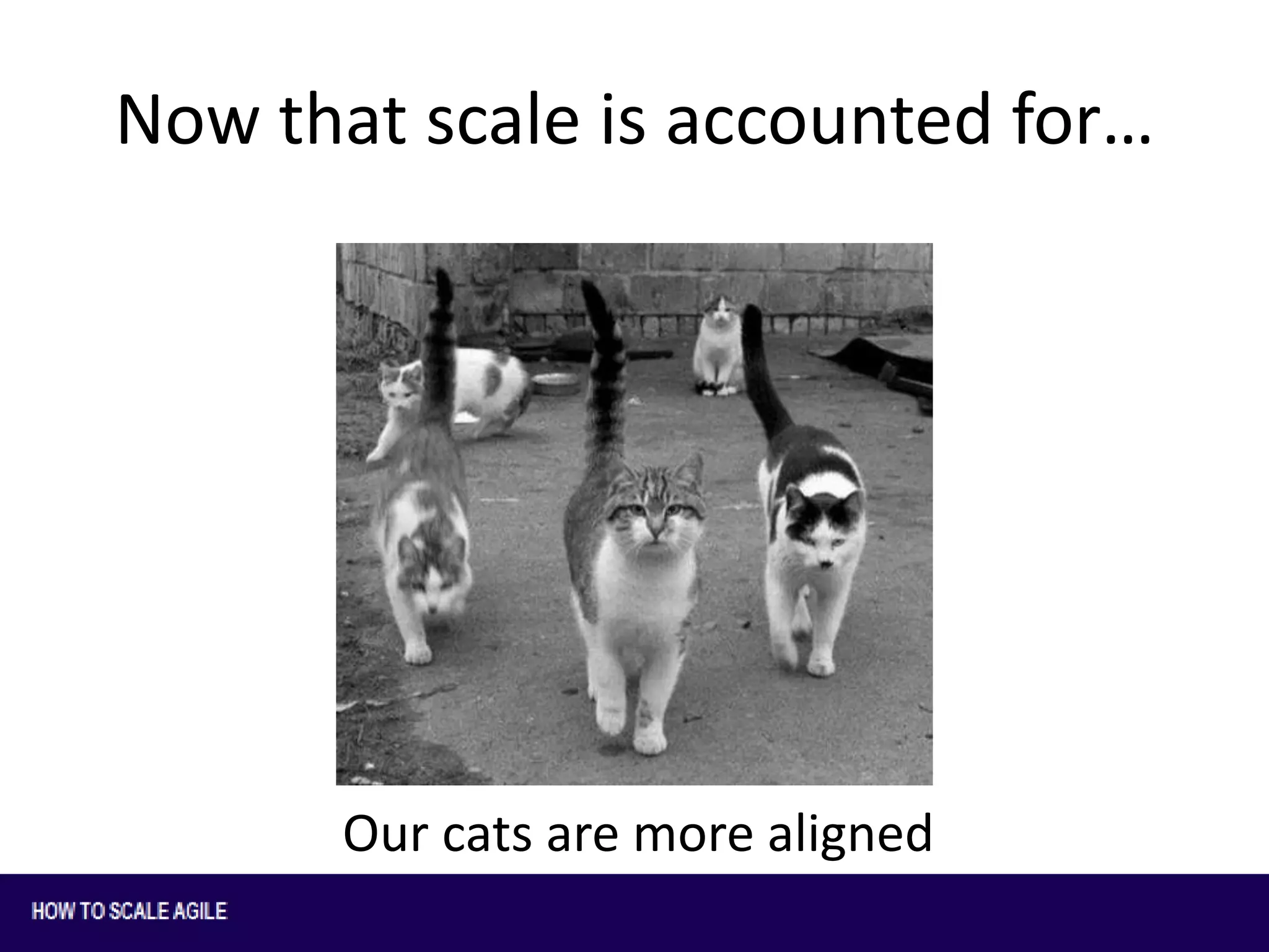Now that scale is accounted for…

Our cats are more aligned

 