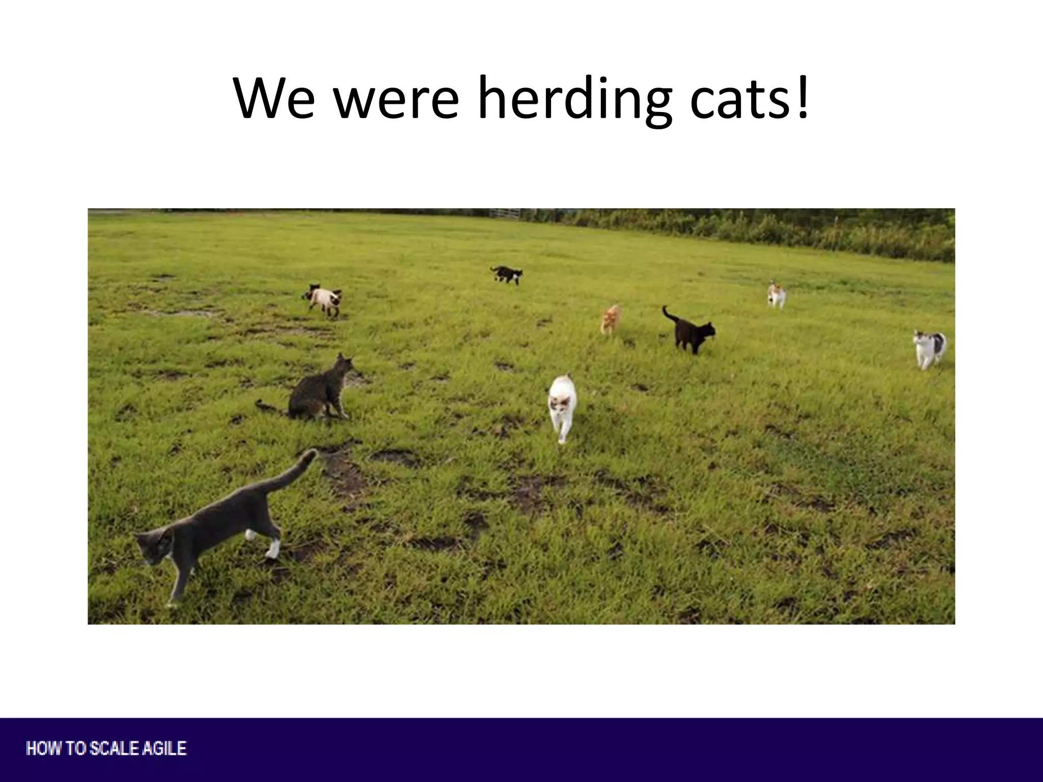 We were herding cats!

 