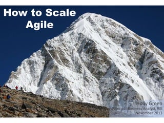 How to Scale
Agile

Holly Green
Principal Business Analyst, REI
November 2013

 