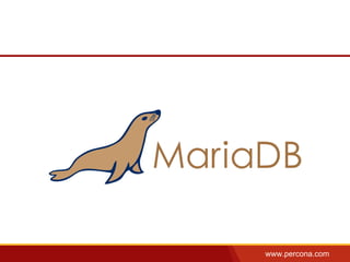www.percona.com
 