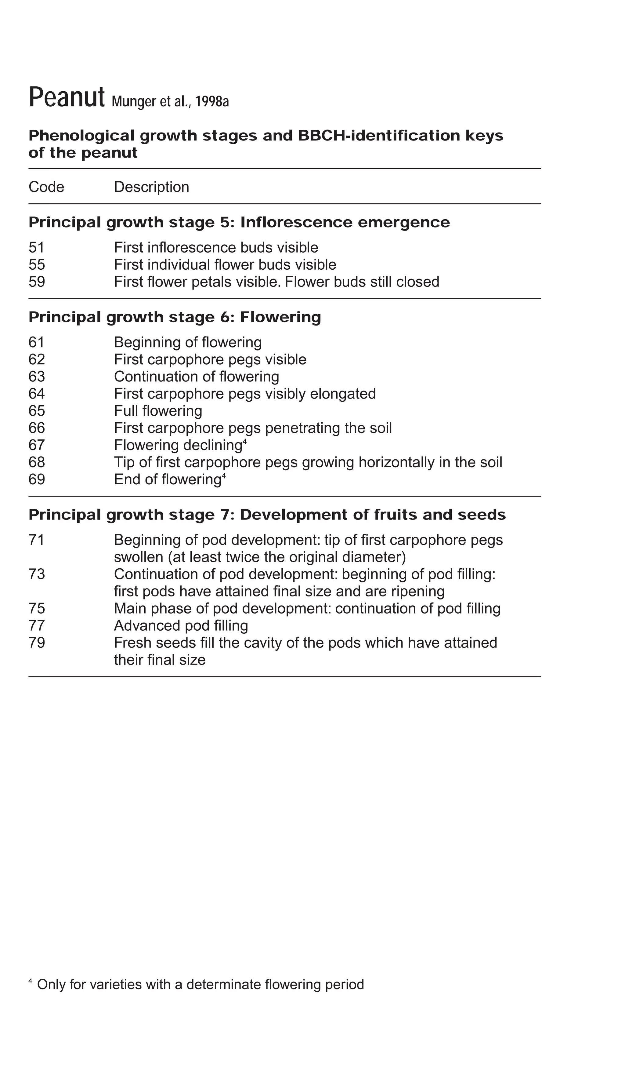 Peanut Munger et al., 1998a
Phenological growth stages and BBCH-identification keys
of the peanut
Code Description
Principal growth stage 5: Inflorescence emergence
51 First inflorescence buds visible
55 First individual flower buds visible
59 First flower petals visible. Flower buds still closed
Principal growth stage 6: Flowering
61 Beginning of flowering
62 First carpophore pegs visible
63 Continuation of flowering
64 First carpophore pegs visibly elongated
65 Full flowering
66 First carpophore pegs penetrating the soil
67 Flowering declining4
68 Tip of first carpophore pegs growing horizontally in the soil
69 End of flowering4
Principal growth stage 7: Development of fruits and seeds
71 Beginning of pod development: tip of first carpophore pegs
swollen (at least twice the original diameter)
73 Continuation of pod development: beginning of pod filling:
first pods have attained final size and are ripening
75 Main phase of pod development: continuation of pod filling
77 Advanced pod filling
79 Fresh seeds fill the cavity of the pods which have attained
their final size
4
Only for varieties with a determinate flowering period
 
