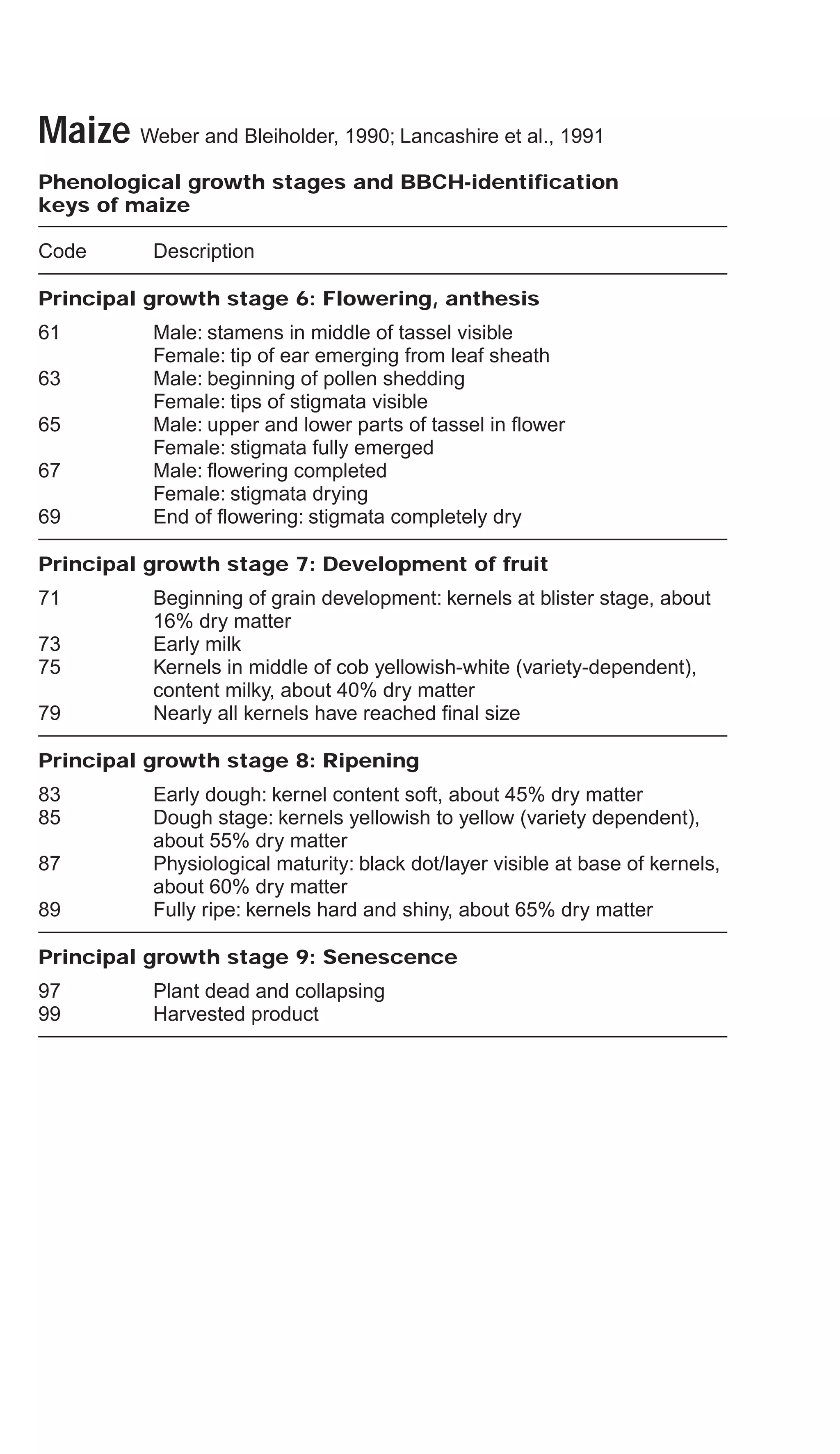 Maize Weber and Bleiholder, 1990; Lancashire et al., 1991
Phenological growth stages and BBCH-identification
keys of maize
Code Description
Principal growth stage 6: Flowering, anthesis
61 Male: stamens in middle of tassel visible
Female: tip of ear emerging from leaf sheath
63 Male: beginning of pollen shedding
Female: tips of stigmata visible
65 Male: upper and lower parts of tassel in flower
Female: stigmata fully emerged
67 Male: flowering completed
Female: stigmata drying
69 End of flowering: stigmata completely dry
Principal growth stage 7: Development of fruit
71 Beginning of grain development: kernels at blister stage, about
16% dry matter
73 Early milk
75 Kernels in middle of cob yellowish-white (variety-dependent),
content milky, about 40% dry matter
79 Nearly all kernels have reached final size
Principal growth stage 8: Ripening
83 Early dough: kernel content soft, about 45% dry matter
85 Dough stage: kernels yellowish to yellow (variety dependent),
about 55% dry matter
87 Physiological maturity: black dot/layer visible at base of kernels,
about 60% dry matter
89 Fully ripe: kernels hard and shiny, about 65% dry matter
Principal growth stage 9: Senescence
97 Plant dead and collapsing
99 Harvested product
 