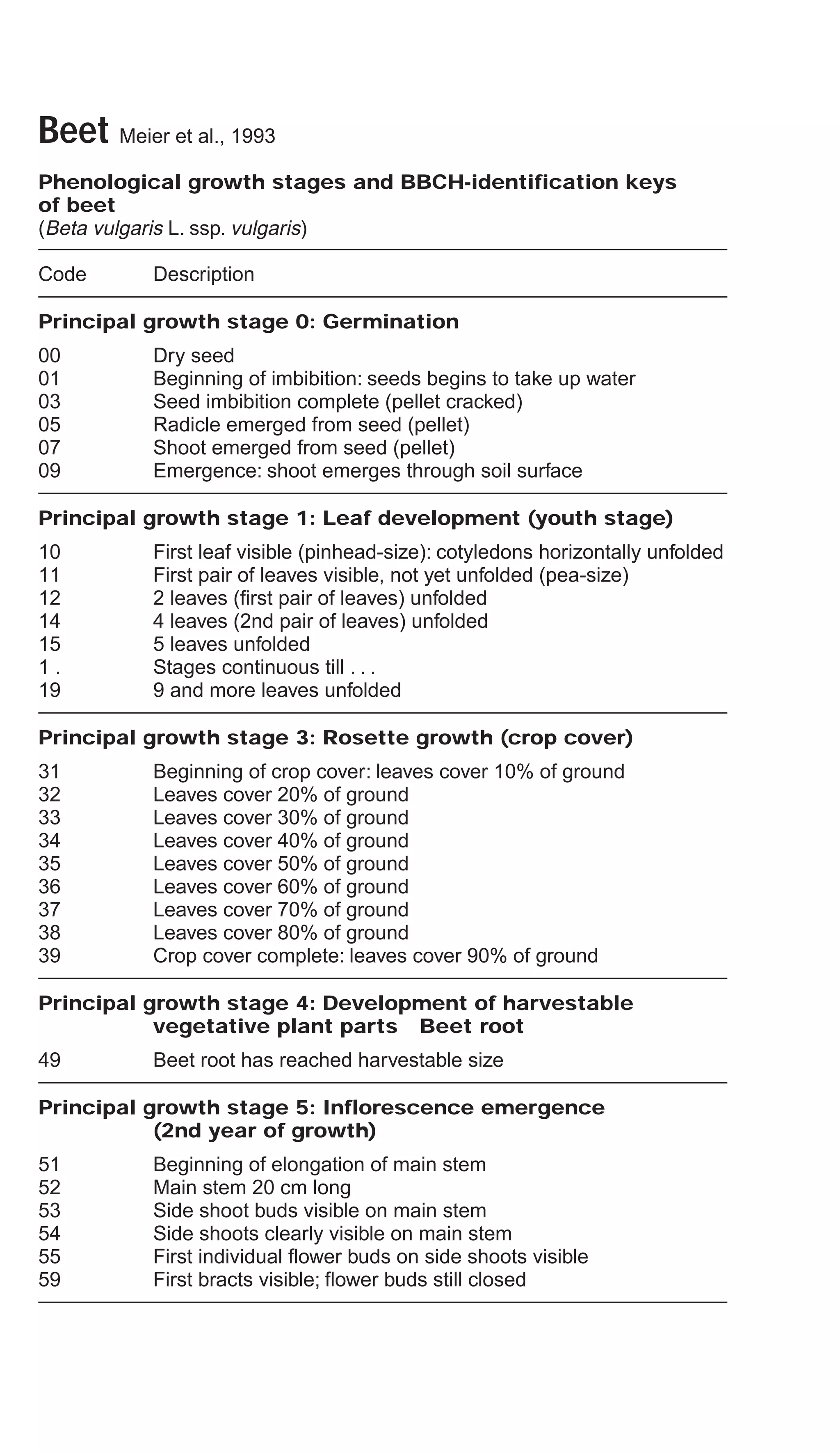 Beet Meier et al., 1993
Phenological growth stages and BBCH-identification keys
of beet
(Beta vulgaris L. ssp. vulgaris)
Code Description
Principal growth stage 0: Germination
00 Dry seed
01 Beginning of imbibition: seeds begins to take up water
03 Seed imbibition complete (pellet cracked)
05 Radicle emerged from seed (pellet)
07 Shoot emerged from seed (pellet)
09 Emergence: shoot emerges through soil surface
Principal growth stage 1: Leaf development (youth stage)
10 First leaf visible (pinhead-size): cotyledons horizontally unfolded
11 First pair of leaves visible, not yet unfolded (pea-size)
12 2 leaves (first pair of leaves) unfolded
14 4 leaves (2nd pair of leaves) unfolded
15 5 leaves unfolded
1 . Stages continuous till . . .
19 9 and more leaves unfolded
Principal growth stage 3: Rosette growth (crop cover)
31 Beginning of crop cover: leaves cover 10% of ground
32 Leaves cover 20% of ground
33 Leaves cover 30% of ground
34 Leaves cover 40% of ground
35 Leaves cover 50% of ground
36 Leaves cover 60% of ground
37 Leaves cover 70% of ground
38 Leaves cover 80% of ground
39 Crop cover complete: leaves cover 90% of ground
Principal growth stage 4: Development of harvestable
vegetative plant parts Beet root
49 Beet root has reached harvestable size
Principal growth stage 5: Inflorescence emergence
(2nd year of growth)
51 Beginning of elongation of main stem
52 Main stem 20 cm long
53 Side shoot buds visible on main stem
54 Side shoots clearly visible on main stem
55 First individual flower buds on side shoots visible
59 First bracts visible; flower buds still closed
 
