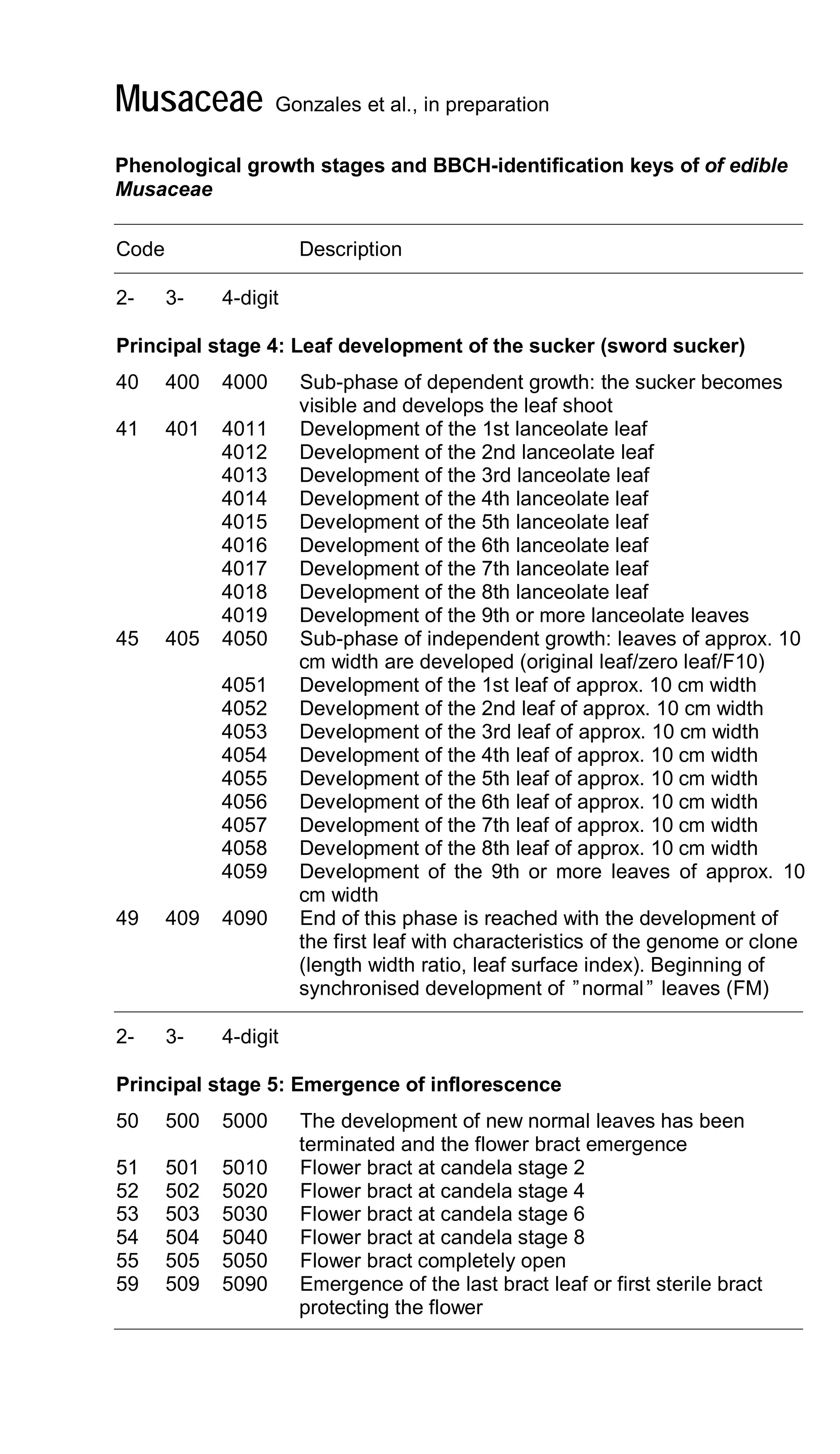Musaceae Gonzales et al., in preparation
Phenological growth stages and BBCH-identification keys of of edible
Musaceae
Code Description
2- 3- 4-digit
Principal stage 4: Leaf development of the sucker (sword sucker)
40 400 4000 Sub-phase of dependent growth: the sucker becomes
visible and develops the leaf shoot
41 401 4011 Development of the 1st lanceolate leaf
4012 Development of the 2nd lanceolate leaf
4013 Development of the 3rd lanceolate leaf
4014 Development of the 4th lanceolate leaf
4015 Development of the 5th lanceolate leaf
4016 Development of the 6th lanceolate leaf
4017 Development of the 7th lanceolate leaf
4018 Development of the 8th lanceolate leaf
4019 Development of the 9th or more lanceolate leaves
45 405 4050 Sub-phase of independent growth: leaves of approx. 10
cm width are developed (original leaf/zero leaf/F10)
4051 Development of the 1st leaf of approx. 10 cm width
4052 Development of the 2nd leaf of approx. 10 cm width
4053 Development of the 3rd leaf of approx. 10 cm width
4054 Development of the 4th leaf of approx. 10 cm width
4055 Development of the 5th leaf of approx. 10 cm width
4056 Development of the 6th leaf of approx. 10 cm width
4057 Development of the 7th leaf of approx. 10 cm width
4058 Development of the 8th leaf of approx. 10 cm width
4059 Development of the 9th or more leaves of approx. 10
cm width
49 409 4090 End of this phase is reached with the development of
the first leaf with characteristics of the genome or clone
(length width ratio, leaf surface index). Beginning of
synchronised development of ”normal” leaves (FM)
2- 3- 4-digit
Principal stage 5: Emergence of inflorescence
50 500 5000 The development of new normal leaves has been
terminated and the flower bract emergence
51 501 5010 Flower bract at candela stage 2
52 502 5020 Flower bract at candela stage 4
53 503 5030 Flower bract at candela stage 6
54 504 5040 Flower bract at candela stage 8
55 505 5050 Flower bract completely open
59 509 5090 Emergence of the last bract leaf or first sterile bract
protecting the flower
 