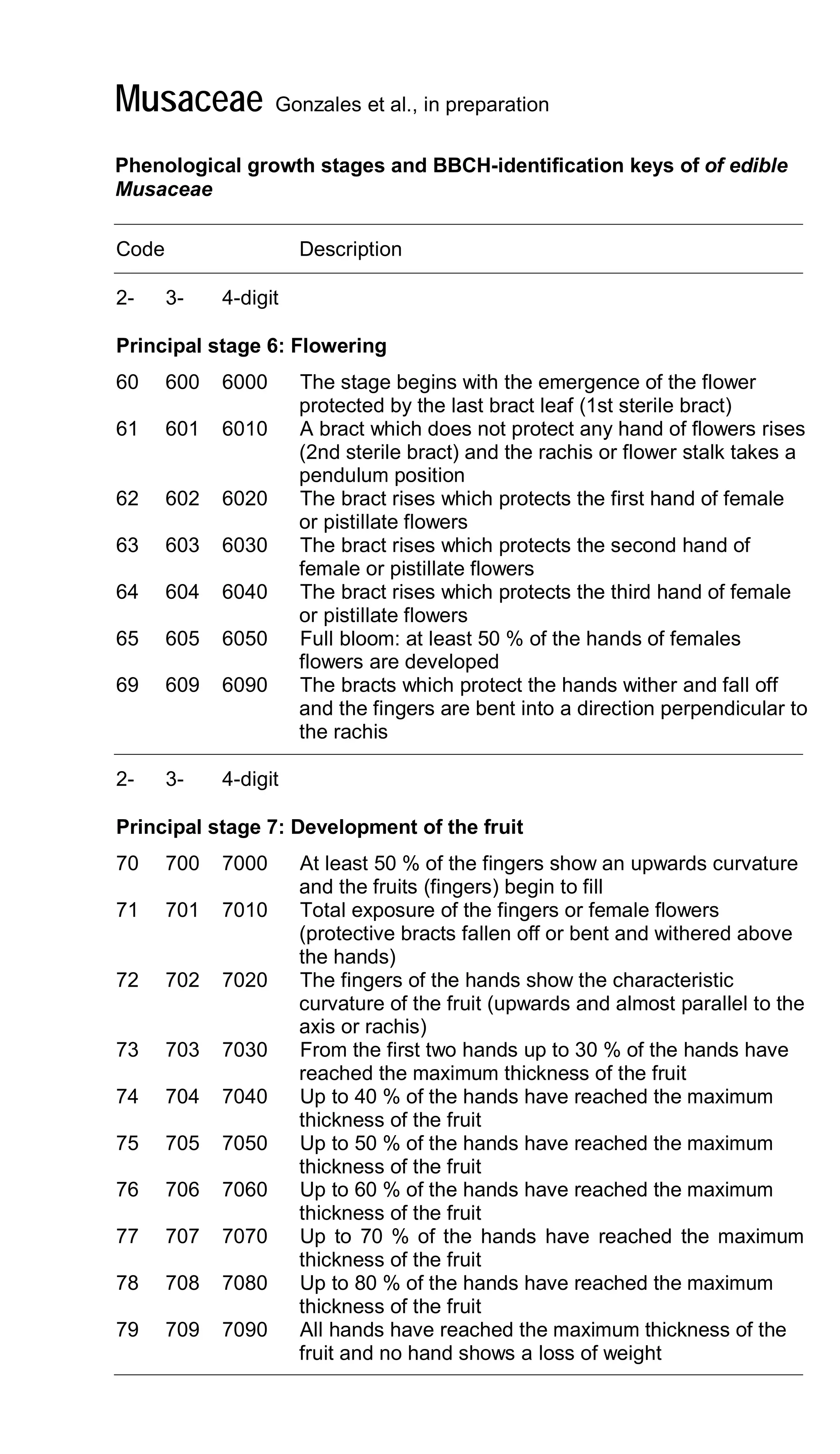 Musaceae Gonzales et al., in preparation
Phenological growth stages and BBCH-identification keys of of edible
Musaceae
Code Description
2- 3- 4-digit
Principal stage 6: Flowering
60 600 6000 The stage begins with the emergence of the flower
protected by the last bract leaf (1st sterile bract)
61 601 6010 A bract which does not protect any hand of flowers rises
(2nd sterile bract) and the rachis or flower stalk takes a
pendulum position
62 602 6020 The bract rises which protects the first hand of female
or pistillate flowers
63 603 6030 The bract rises which protects the second hand of
female or pistillate flowers
64 604 6040 The bract rises which protects the third hand of female
or pistillate flowers
65 605 6050 Full bloom: at least 50 % of the hands of females
flowers are developed
69 609 6090 The bracts which protect the hands wither and fall off
and the fingers are bent into a direction perpendicular to
the rachis
2- 3- 4-digit
Principal stage 7: Development of the fruit
70 700 7000 At least 50 % of the fingers show an upwards curvature
and the fruits (fingers) begin to fill
71 701 7010 Total exposure of the fingers or female flowers
(protective bracts fallen off or bent and withered above
the hands)
72 702 7020 The fingers of the hands show the characteristic
curvature of the fruit (upwards and almost parallel to the
axis or rachis)
73 703 7030 From the first two hands up to 30 % of the hands have
reached the maximum thickness of the fruit
74 704 7040 Up to 40 % of the hands have reached the maximum
thickness of the fruit
75 705 7050 Up to 50 % of the hands have reached the maximum
thickness of the fruit
76 706 7060 Up to 60 % of the hands have reached the maximum
thickness of the fruit
77 707 7070 Up to 70 % of the hands have reached the maximum
thickness of the fruit
78 708 7080 Up to 80 % of the hands have reached the maximum
thickness of the fruit
79 709 7090 All hands have reached the maximum thickness of the
fruit and no hand shows a loss of weight
 