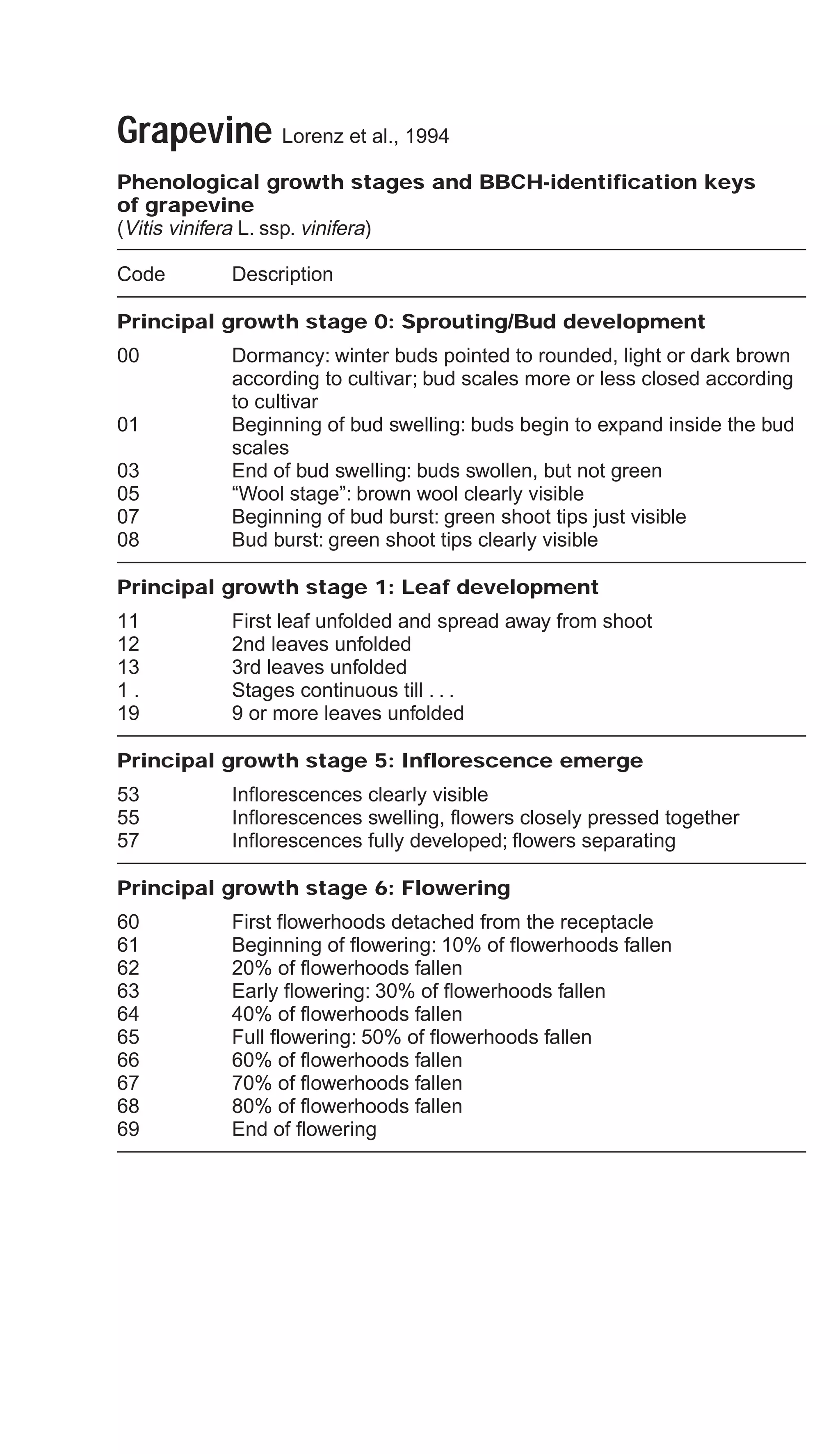 Grapevine Lorenz et al., 1994
Phenological growth stages and BBCH-identification keys
of grapevine
(Vitis vinifera L. ssp. vinifera)
Code Description
Principal growth stage 0: Sprouting/Bud development
00 Dormancy: winter buds pointed to rounded, light or dark brown
according to cultivar; bud scales more or less closed according
to cultivar
01 Beginning of bud swelling: buds begin to expand inside the bud
scales
03 End of bud swelling: buds swollen, but not green
05 “Wool stage”: brown wool clearly visible
07 Beginning of bud burst: green shoot tips just visible
08 Bud burst: green shoot tips clearly visible
Principal growth stage 1: Leaf development
11 First leaf unfolded and spread away from shoot
12 2nd leaves unfolded
13 3rd leaves unfolded
1 . Stages continuous till . . .
19 9 or more leaves unfolded
Principal growth stage 5: Inflorescence emerge
53 Inflorescences clearly visible
55 Inflorescences swelling, flowers closely pressed together
57 Inflorescences fully developed; flowers separating
Principal growth stage 6: Flowering
60 First flowerhoods detached from the receptacle
61 Beginning of flowering: 10% of flowerhoods fallen
62 20% of flowerhoods fallen
63 Early flowering: 30% of flowerhoods fallen
64 40% of flowerhoods fallen
65 Full flowering: 50% of flowerhoods fallen
66 60% of flowerhoods fallen
67 70% of flowerhoods fallen
68 80% of flowerhoods fallen
69 End of flowering
 