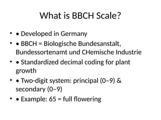 Bbch Rasberry BBCH work on _Flower_Crops_Seminar.pptx