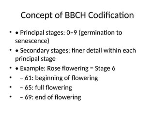 BBCH work on _Flower_Crops_Seminar.pptx