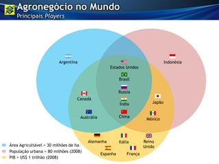 População urbana > 80 milhões (2008)
PIB > US$ 1 trilhão (2008)
Indonésia
México
Japão
Alemanha
Espanha
Itália Reino
Unido
França
Área Agricultável > 30 milhões de ha
Argentina
Canadá
Austrália
Brasil
China
Índia
Russia
Estados Unidos
Agronegócio no Mundo
Principais Players
 