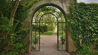 The Walled Garden – Apps as destinations
What once appeared to be an open and participatory RSS-based format is now
evolving into a medium that is increasingly professionalized and oriented
towards a group of rising walled-garden services.
Cwynar (2019)
…content exclusivity deals … and the increasing consolidation among discovery
and consumption platforms may point to a platform- centric future, leaving RSS
as a “second-class” distribution mechanism reserved for amateurs.
Sullivan (2019)
10
 