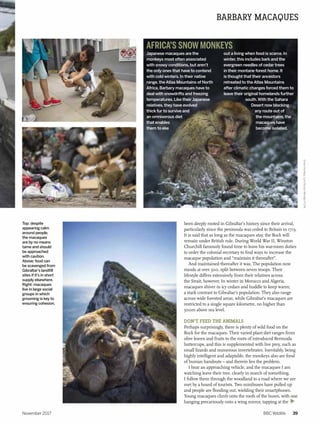 Monkey Hoard BBC Wildlife (Why Owls are not wise) | PDF