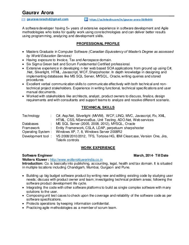 funky professional resume makers in chandigarh embellishment