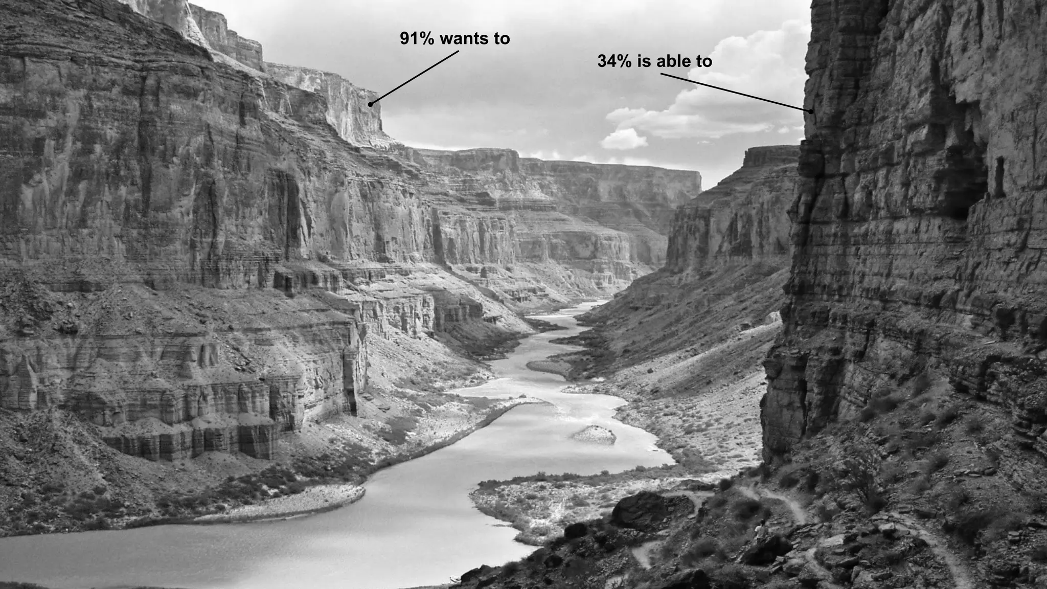 91% wants to 
34% is able to 
 