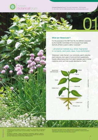 European Botanical Forum 50 rue de l’Association, 1000 Brussels
T: +32 2 209 11 50 E: info@botanical-forum.be www.botanicalforum.com
What are ‘Botanicals’?
For the purposes of the EBF Fact File, the definition proposed
by the Scientific Committee of the European Food Safety
Authority (EFSA) is used to define ‘botanicals’:3
‘..all botanical materials (e.g. whole, fragmented
or cut plants, plant parts, algae, fungi and lichens).’
‘Botanicals’ is also the term now commonly used to describe
plant materials when used in foods and food supplements,
thereby differentiating them from plant materials used in herbal
medicines which are more usually described as ‘herbs’.
References
1 Heinrich M, Leonti M, Nebel S. Peschel W.: “Local Food - nutraceuticals”: an example of
a multidisciplinary research project on local knowledge. J Pharmacol./ Physiol. 2005; 56
(suppl):5-22
2 Coppens P., Delmulle L., Gulati O., Richardson D, Ruthsatz M., Sievers H., Sidani S.:
Use of Botanicals in Food Supplements; Regulatory Scope, Scientific Risk Assessment
and Claim Substantiation. Ann Nutr Metab 2006;50:538-554
3 European Food Safety Authority. Safety assessment of botanicals and botanical
preparations intended for use as ingredients in food supplements. Guidance document
of the Scientific Committee. http://www.efsa.europa.eu
2
Apical bud
(terminal bud)
Blade
Petiole
Node
Stem
Axillary bud
Primary root
Lateral root
Internode
ShootSystemRootSystem
 