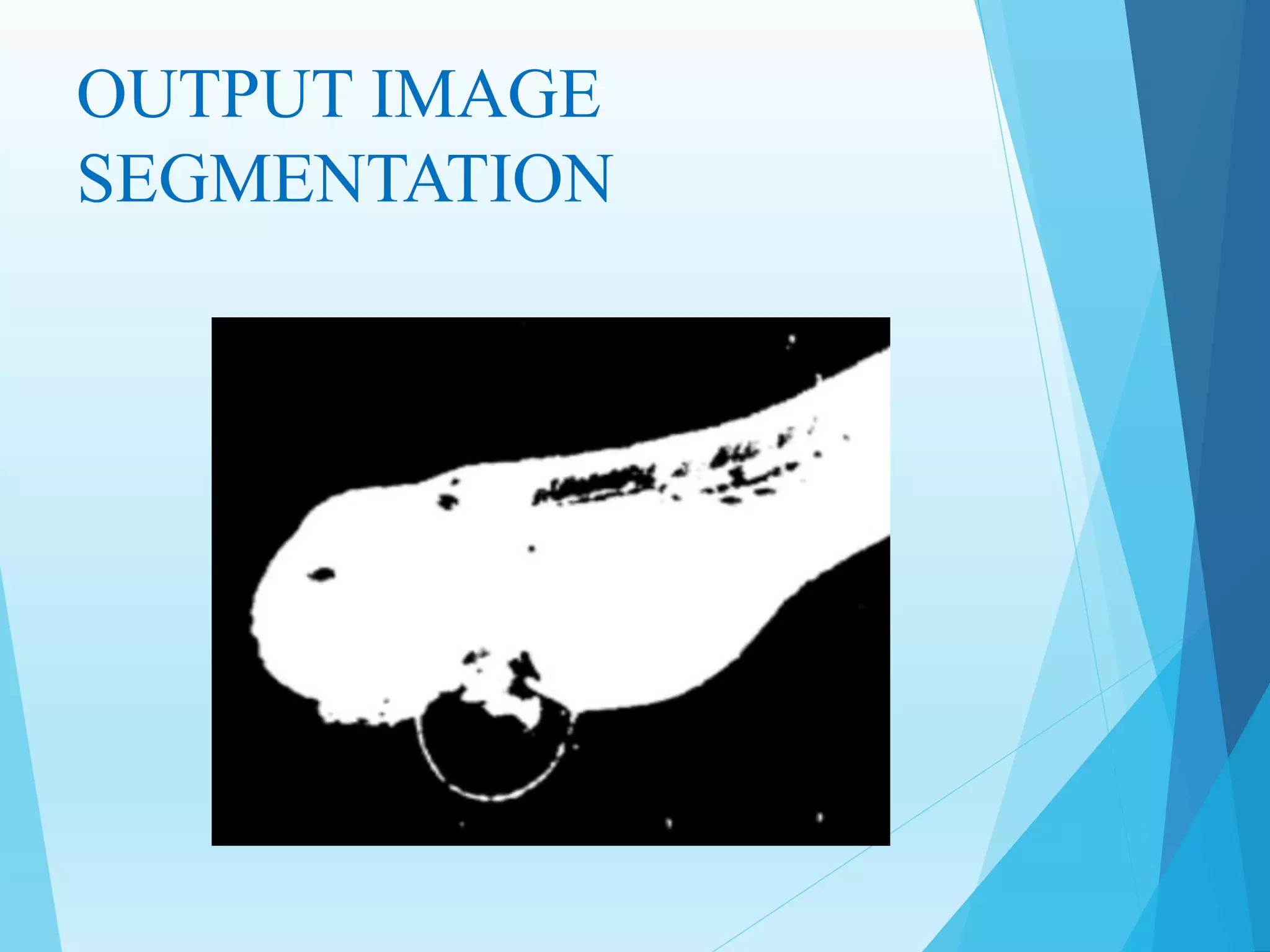 OUTPUT IMAGE
SEGMENTATION
 