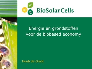 Energie en grondstoffen
  voor de biobased economy




Huub de Groot
 