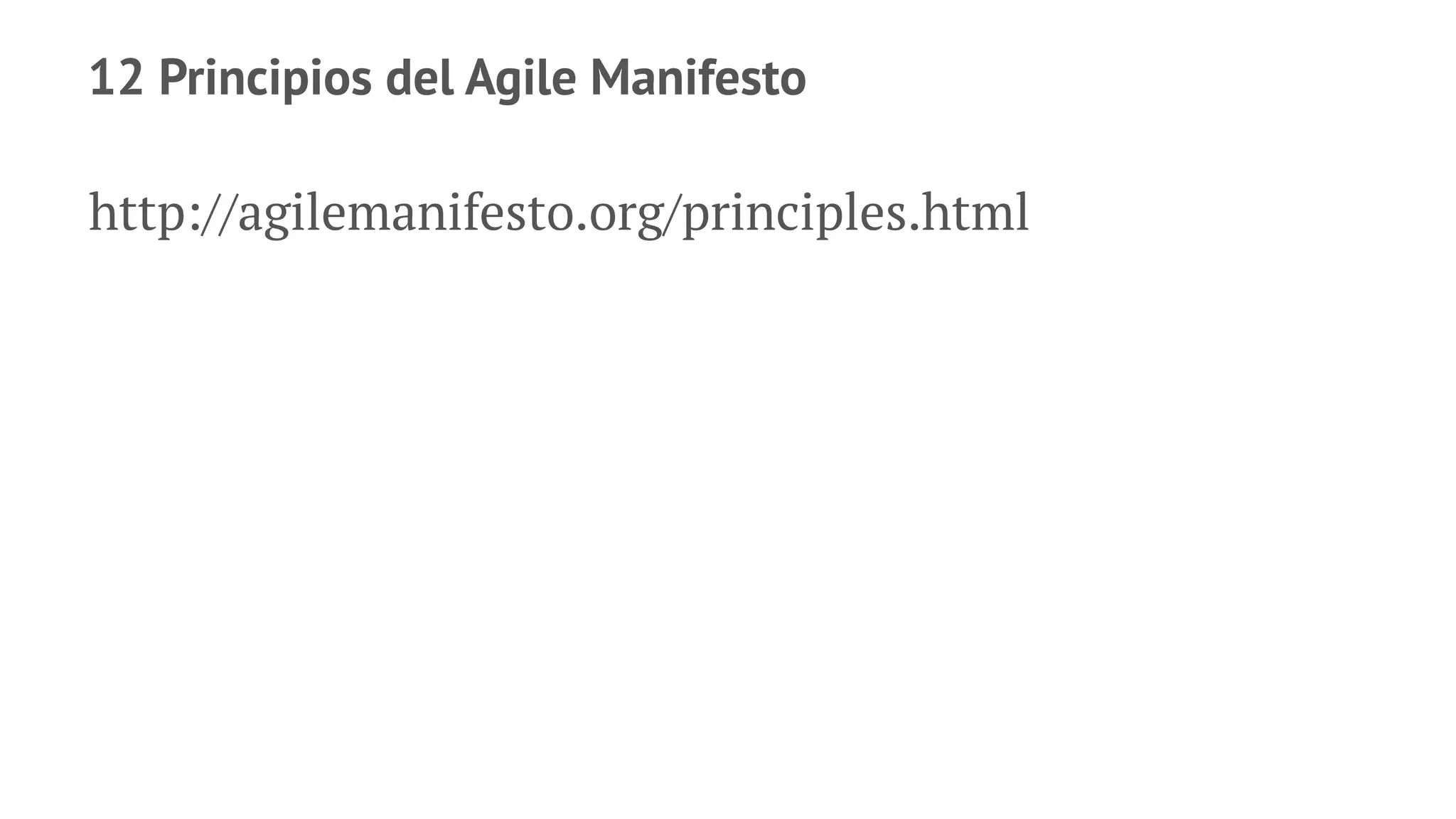 12 Principios del Agile Manifesto
http://agilemanifesto.org/principles.html
 