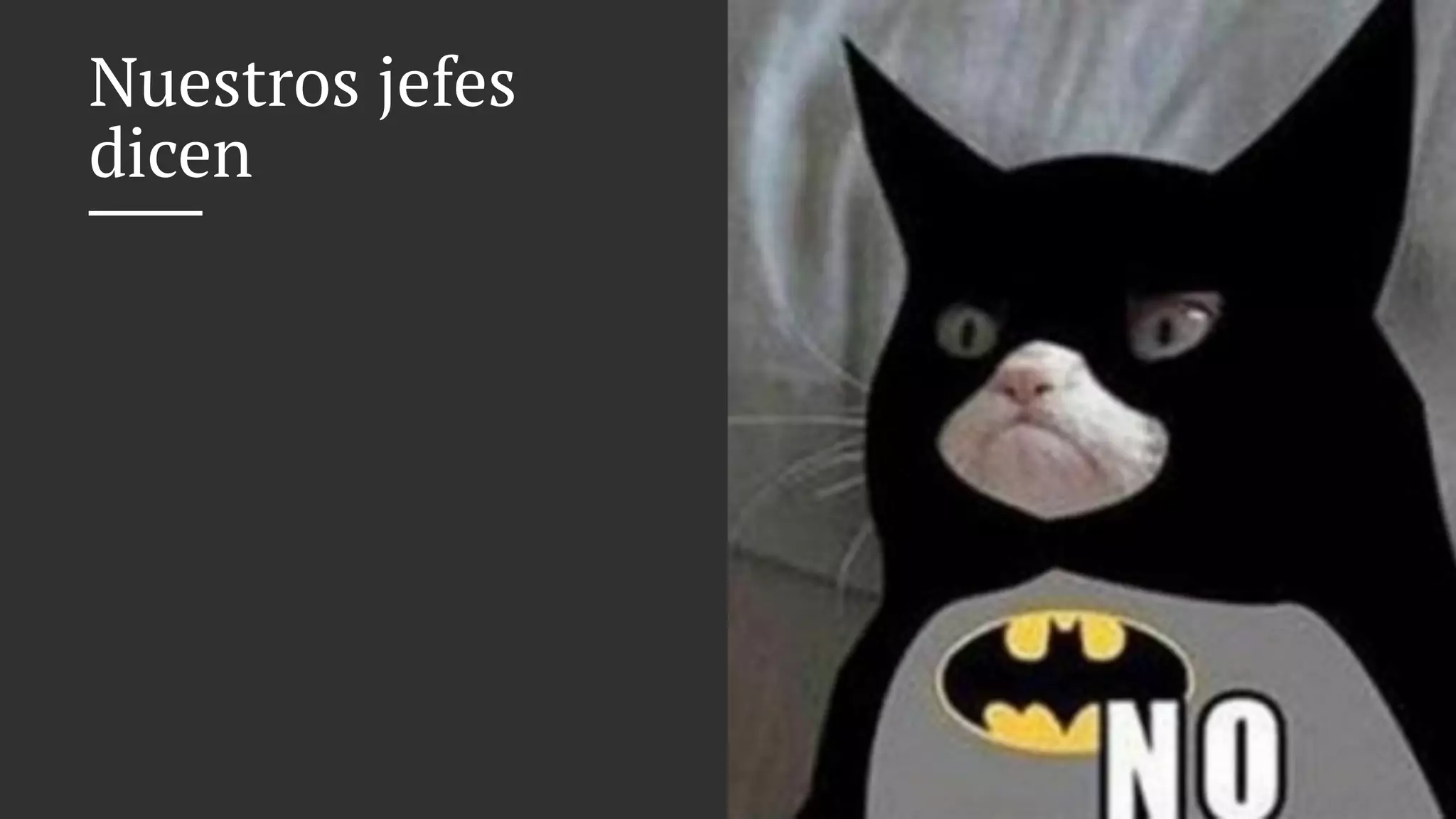 Nuestros jefes
dicen
 