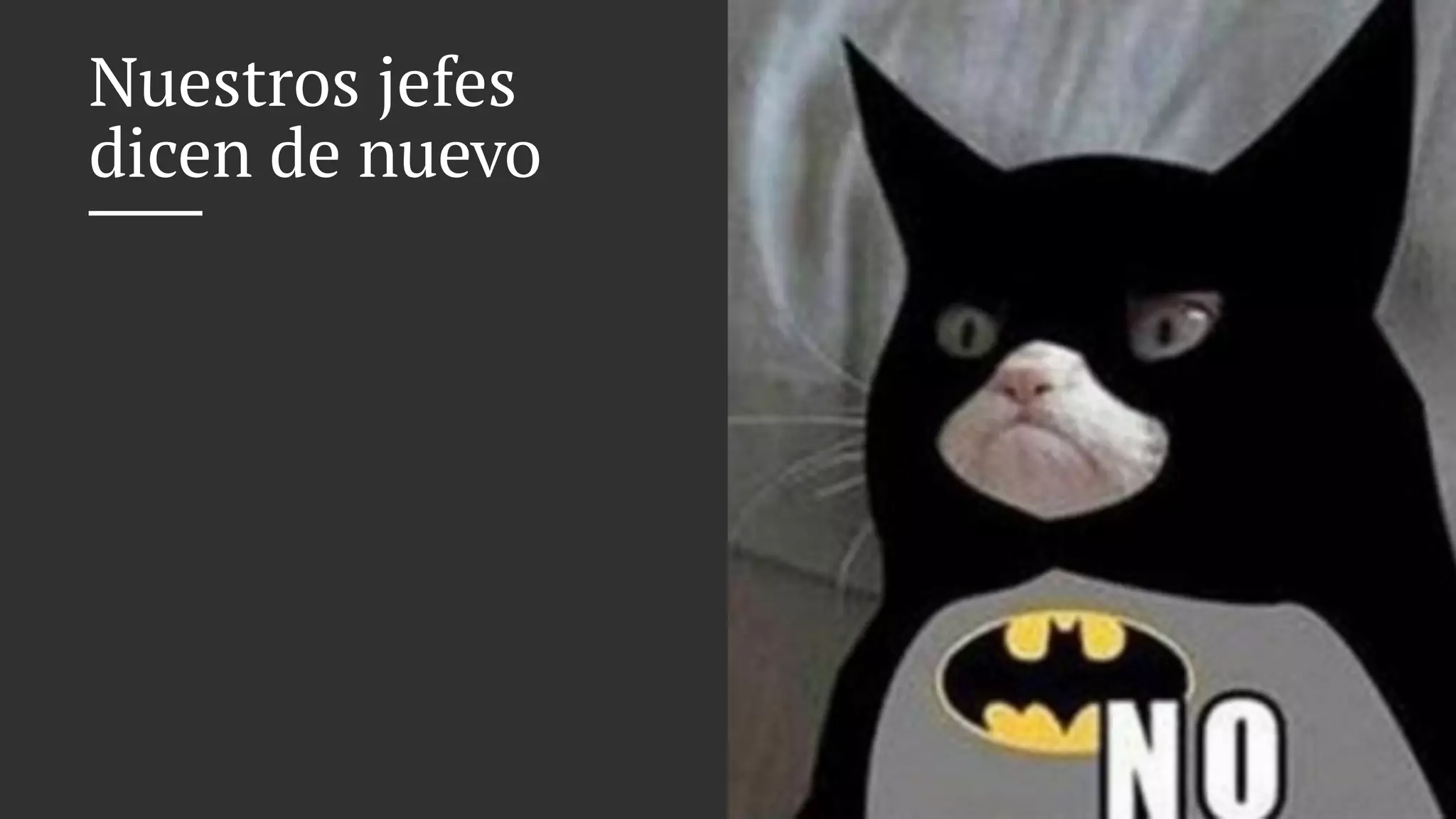 Nuestros jefes
dicen de nuevo
 