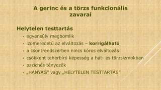 A gerinc és a törzs funkcionális
zavarai
Helytelen testtartás
• egyensúly megbomlik
• izomeredetű az elváltozás – korrigálható
• a csontrendszerben nincs kóros elváltozás
• csökkent teherbíró képesség a hát- és törzsizmokban
• pszichés tényezők
• „HANYAG” vagy „HELYTELEN TESTTARTÁS”
 