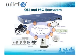 www.wildix.com
OST and PRO Ecosystem
VoIP Ecosystem
For
Business
IP Phones
IP PBX
Mobile Gateways
Paging
Intercom
IP Camera
Media Gateways
 